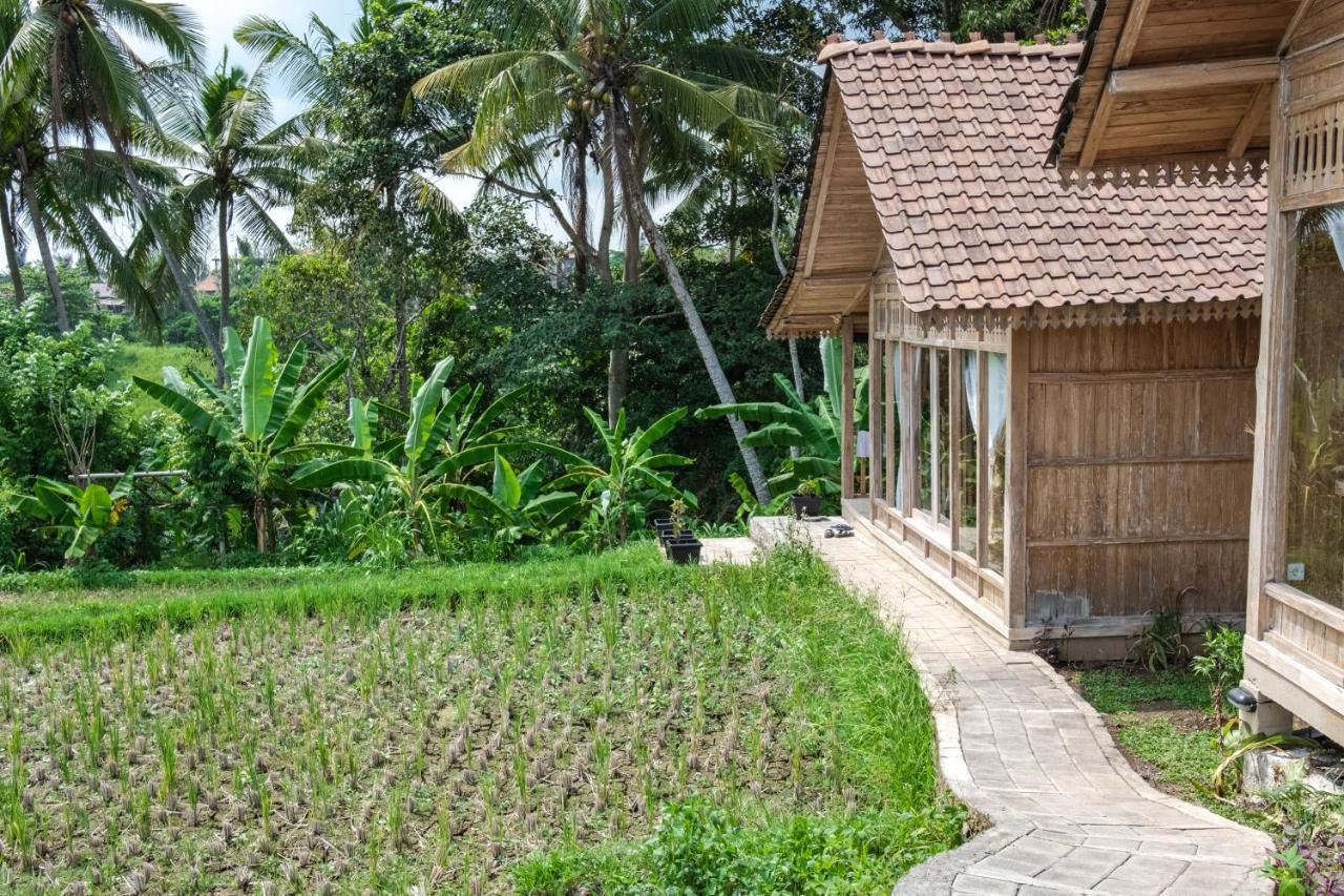 Kidem Ubud Villas מראה חיצוני תמונה